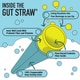 Gut Health Straws Image 1