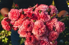 Top 100 Lifestyle Trends in March