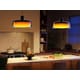 Smart Ambient Pendant Lamps Image 2