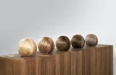 Solo Contemporary Art Exhibitions