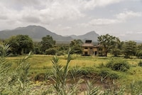 Thatched Roof Wildlife Retreats Image 3