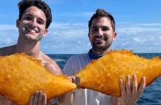 Romantic QSR Fish Pictures