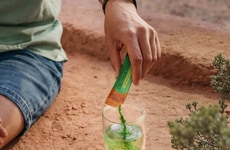 Portable Chlorophyll-Fiber Supplements