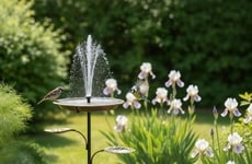Solar Bird Bath Kits