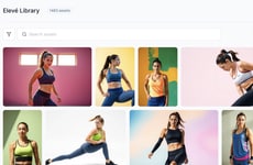 Brand Asset Platforms