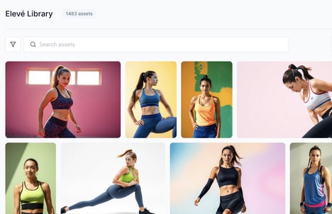 Brand Asset Platforms