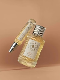 Radiant Gourmand Fragrances Image 2