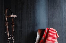 Gallery-To-Gallery Culturral Partnerships