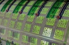 UV-Tagged Recycling Labels