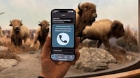 Live Interpreter Museum Experiences