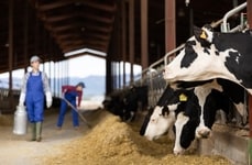 AI Dairy Assistant Platform