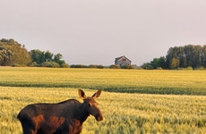 Prairie Fibre Bioplastics