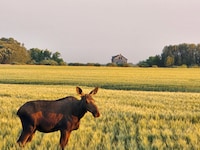 Prairie Fibre Bioplastics Image 1