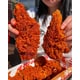 Nashville Hot Chicken Restaurants Image 1