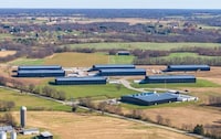 Post-Distillation Bottling Facilities