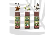 Martinique Cacao Chocolates