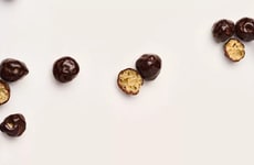 Protein-Rich Chocolate Coatings