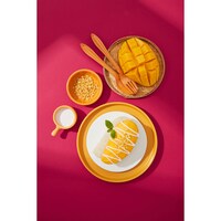 Frozen Mango Sticky Rice Image 3