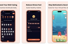 Mood Insight Trackers