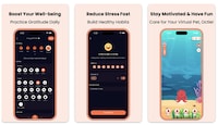 Mood Insight Trackers