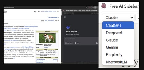 Browser AI Hubs