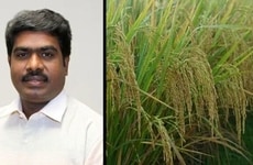 Functional Rice Bran Compounds