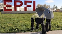 Programmable Foam Lattice Systems
