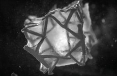 Degradable Cardiac Repair Patches