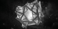 Degradable Cardiac Repair Patches