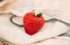 Freshness-Ensuring Berry Packaging