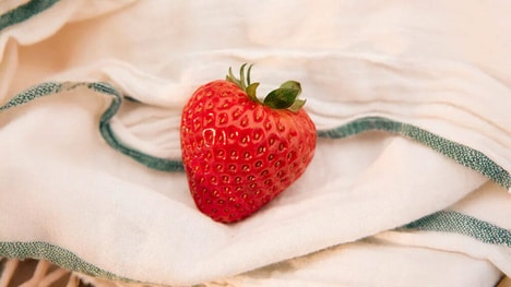 Freshness-Ensuring Berry Packaging