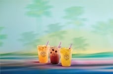 Cold Brew Energy Teas