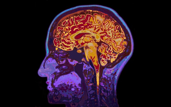 Top 55 Science Trends in March