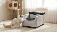 Next-Gen Cat Litter Boxes