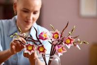 Floral Display Sets