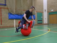 Omnidirectional Ball Bikes Image 1