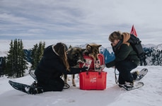 High-Altitude Dog Food Unboxings