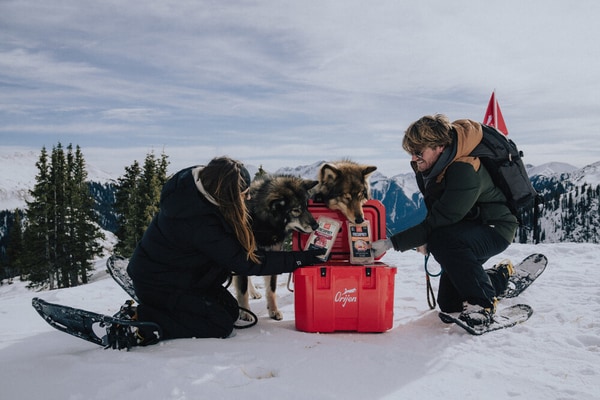High-Altitude Dog Food Unboxings