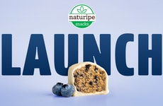 Probiotic Protein Snack Bites