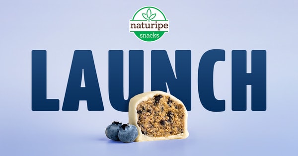Probiotic Protein Snack Bites