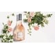 Premium Lifestyle Rose Launches Image 1