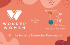 Women&rsquo;s Drinks Mentoring Programmes