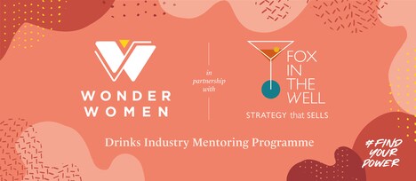 Women&rsquo;s Drinks Mentoring Programmes