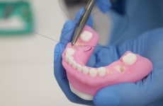 Dental Anatomical Model Presets