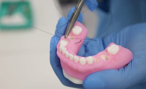 Dental Anatomical Model Presets
