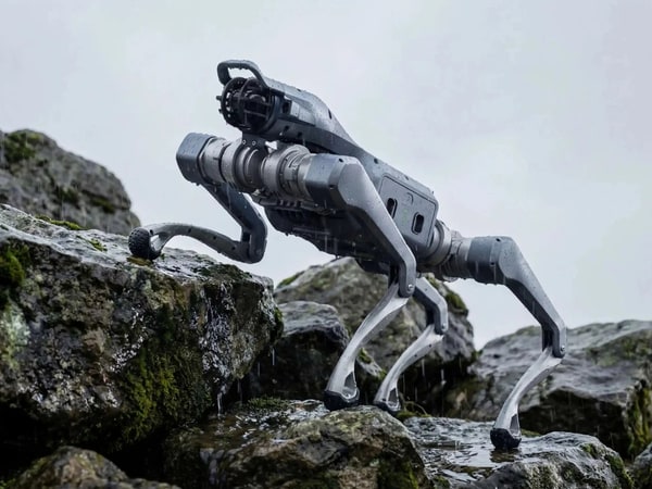 Compact Industrial Robot Dogs