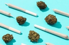 Automated Pre-Roll Jar Fillers