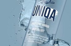 Iodine-Rich Mineral Waters