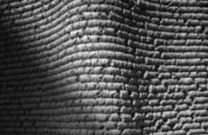 3D-Printed Corn Composite Panels