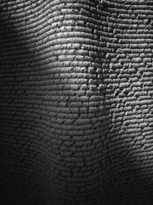 3D-Printed Corn Composite Panels